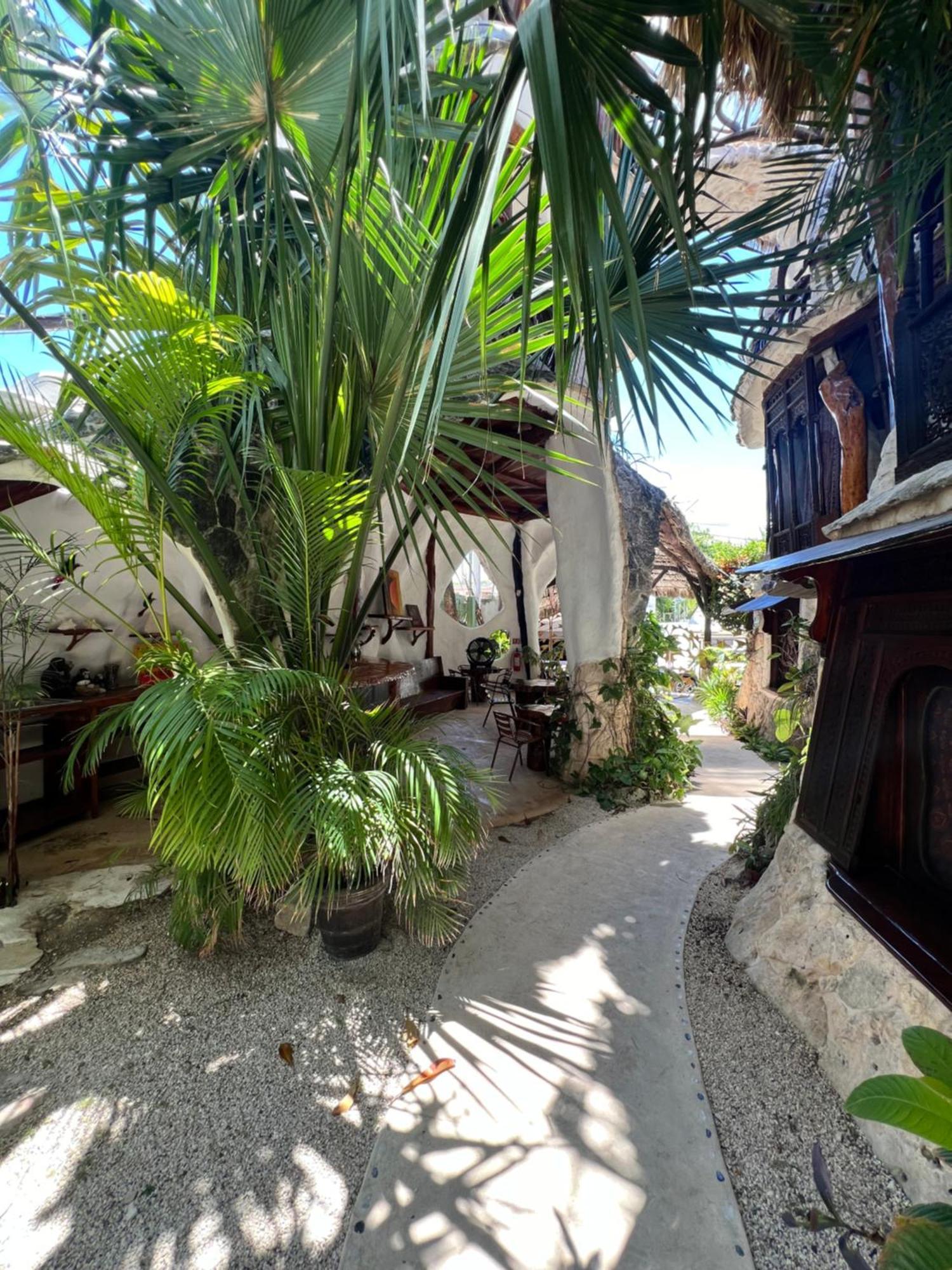 La Quinta Orquidea Bed & Breakfast Пуерто Морелос Екстериор снимка