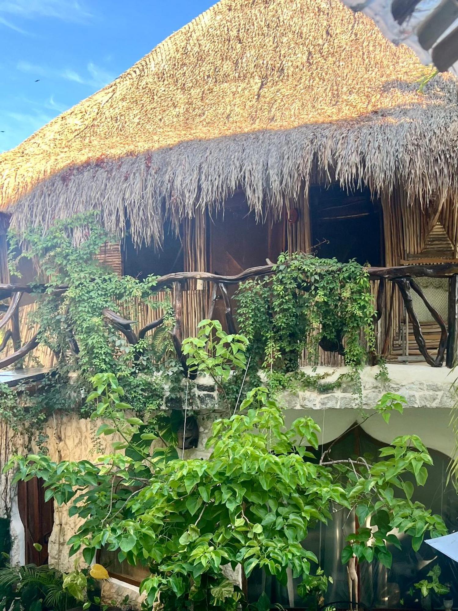 La Quinta Orquidea Bed & Breakfast Пуерто Морелос Екстериор снимка