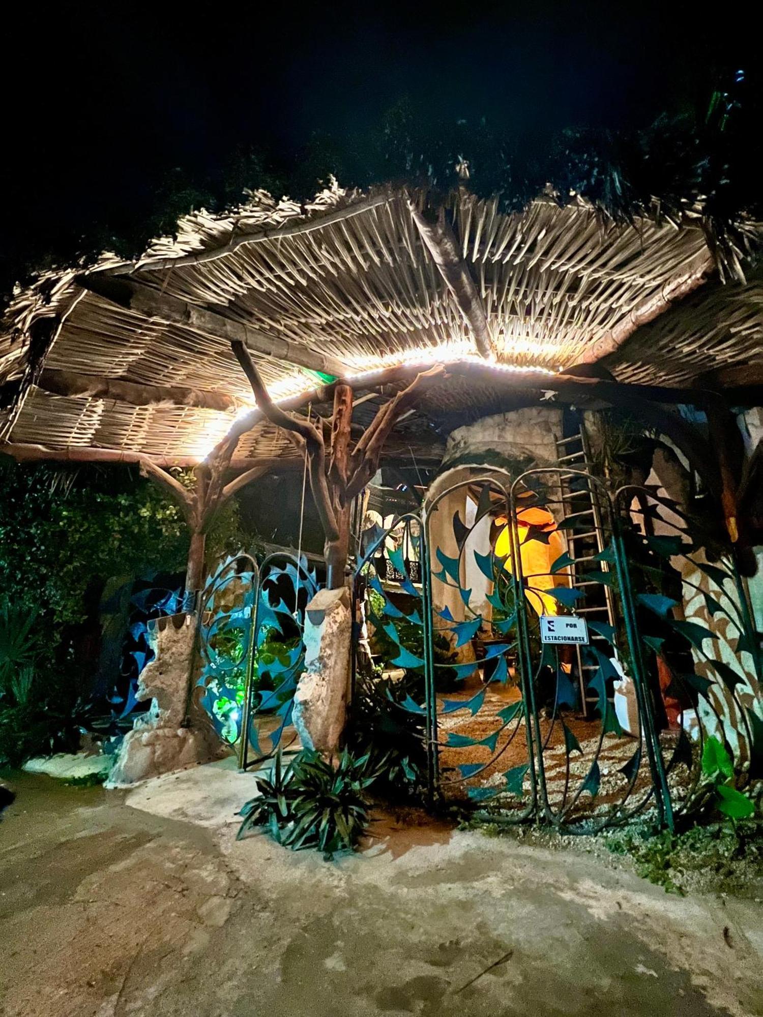 La Quinta Orquidea Bed & Breakfast Пуерто Морелос Екстериор снимка