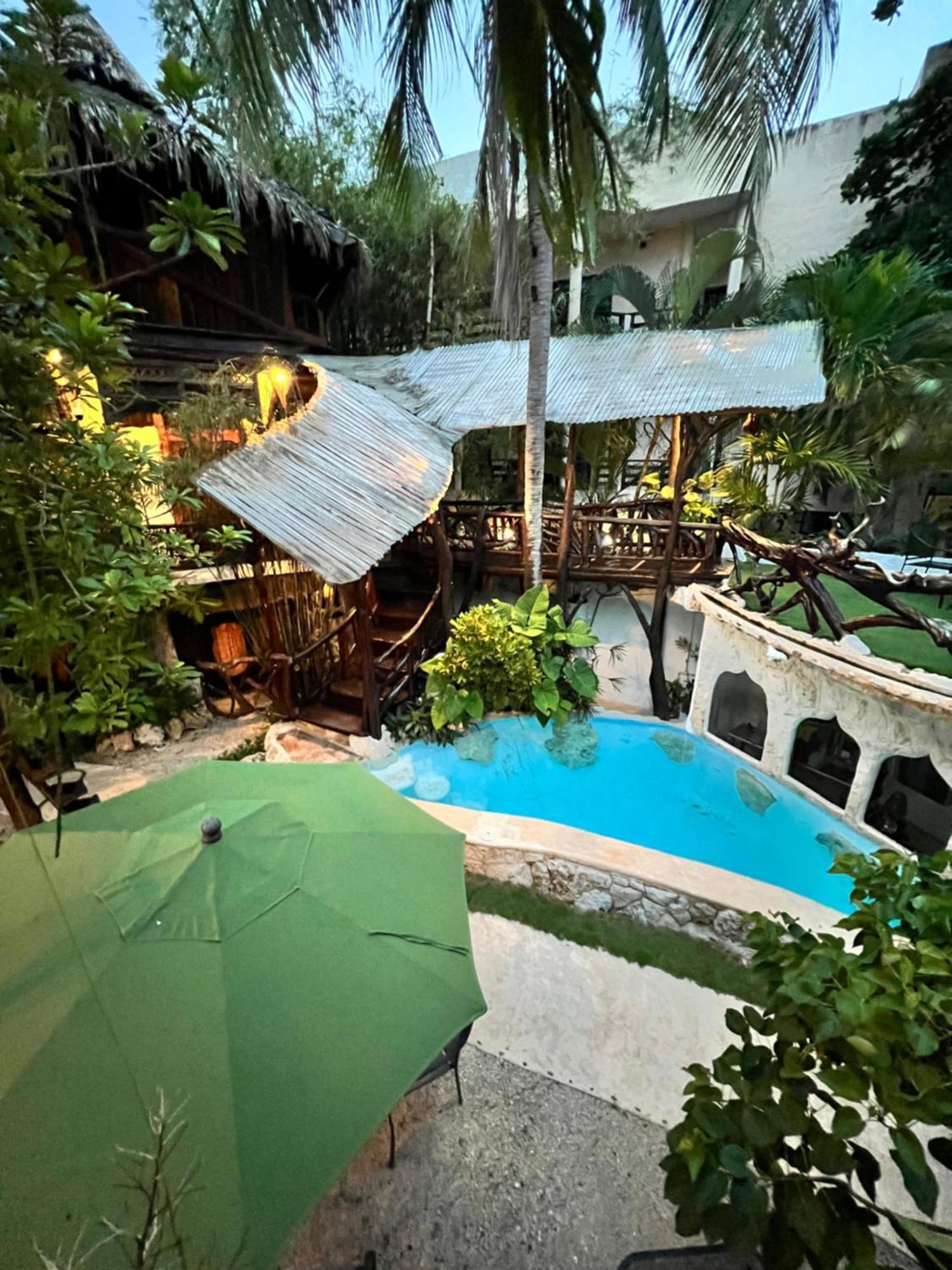 La Quinta Orquidea Bed & Breakfast Пуерто Морелос Екстериор снимка