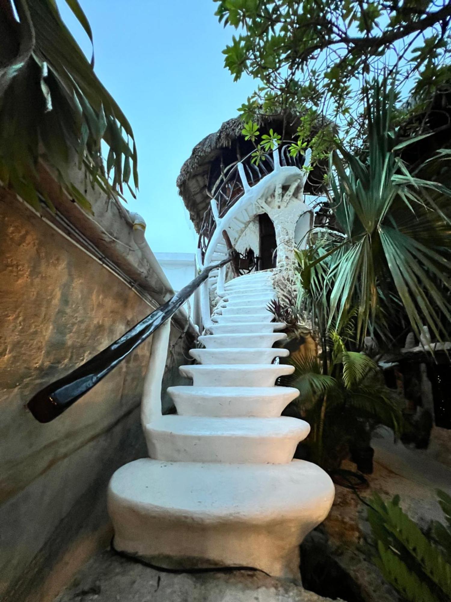 La Quinta Orquidea Bed & Breakfast Пуерто Морелос Екстериор снимка