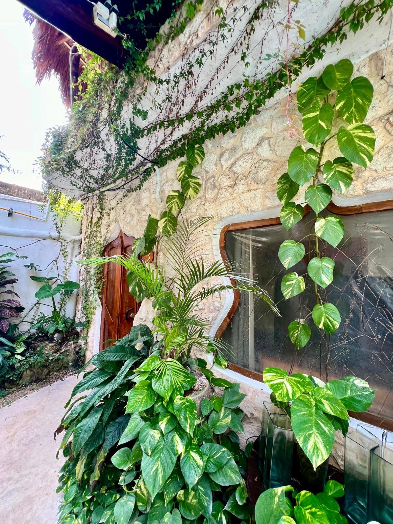 La Quinta Orquidea Bed & Breakfast Пуерто Морелос Екстериор снимка
