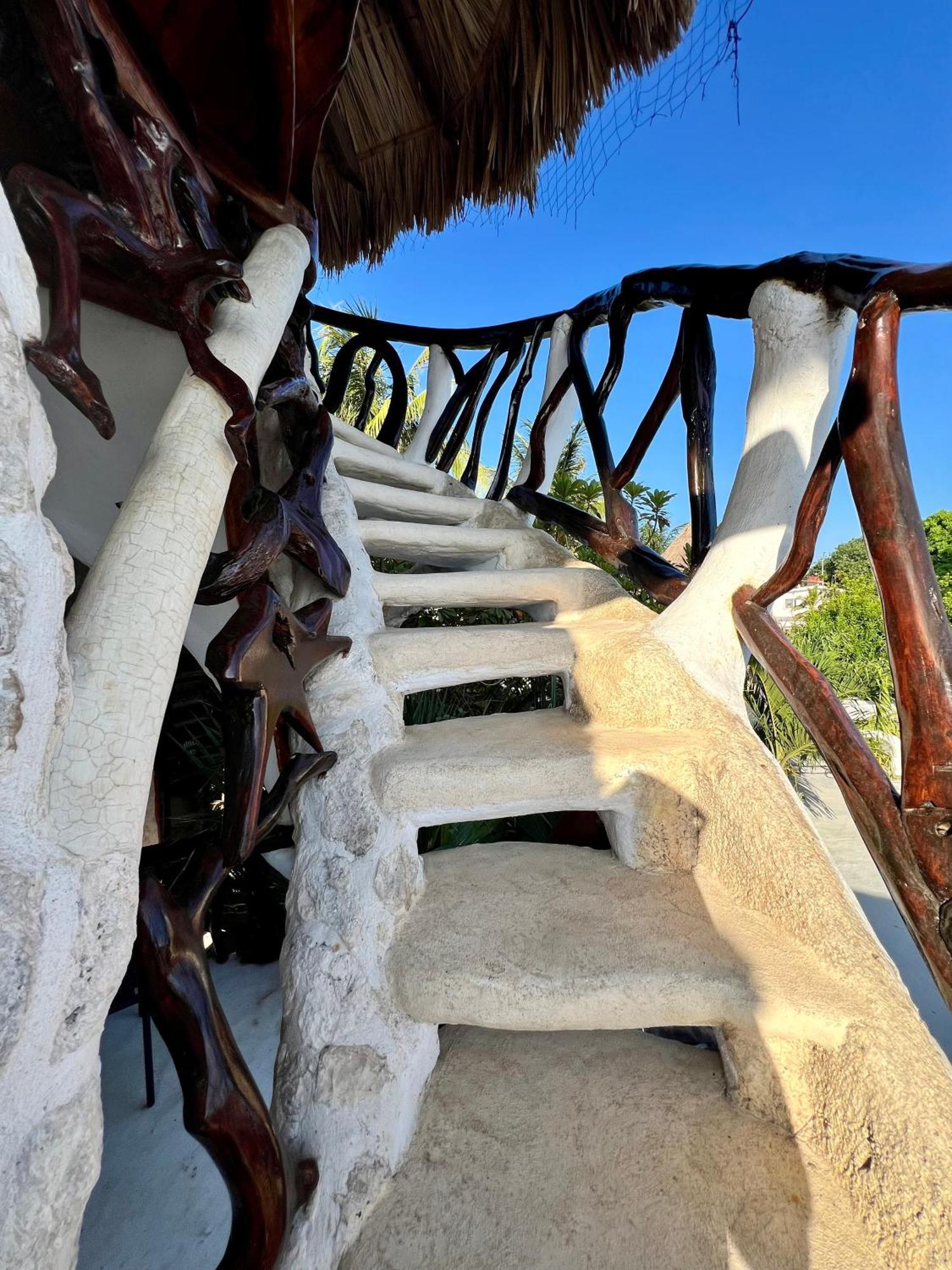 La Quinta Orquidea Bed & Breakfast Пуерто Морелос Екстериор снимка